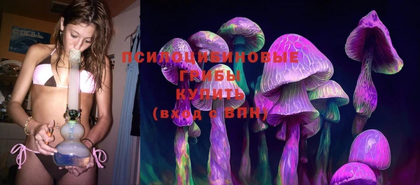 синтетический гашиш Алексеевка
