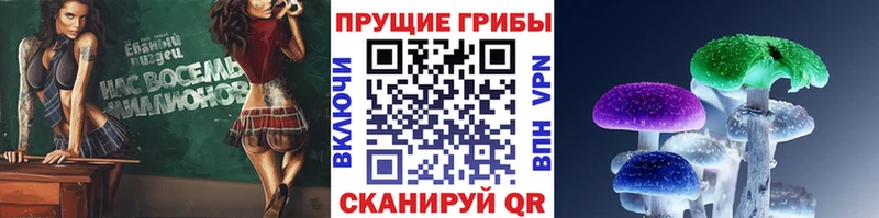 Псилоцибиновые грибы мицелий  Челябинск 