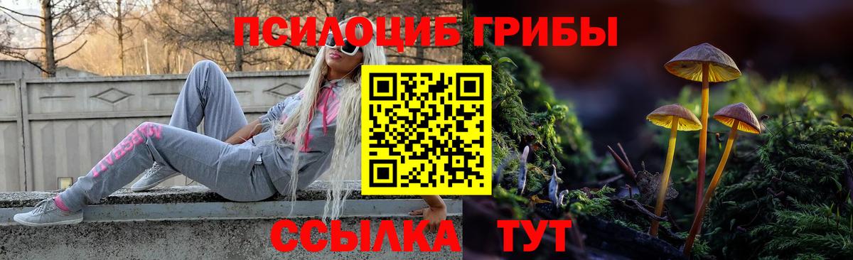 Челябинск  Галлюциногенные грибы Psilocybine cubensis  цены наркотик  Псилоцибиновые грибы MAGIC MUSHROOMS  Вход с VPN 