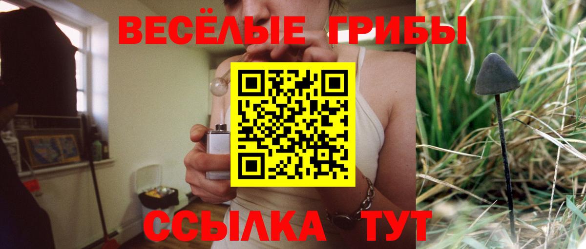 Псилоцибиновые грибы мухоморы Челябинск